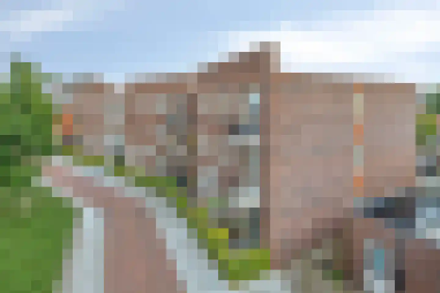 Oranjebloesem 54 Best thumbnail 8