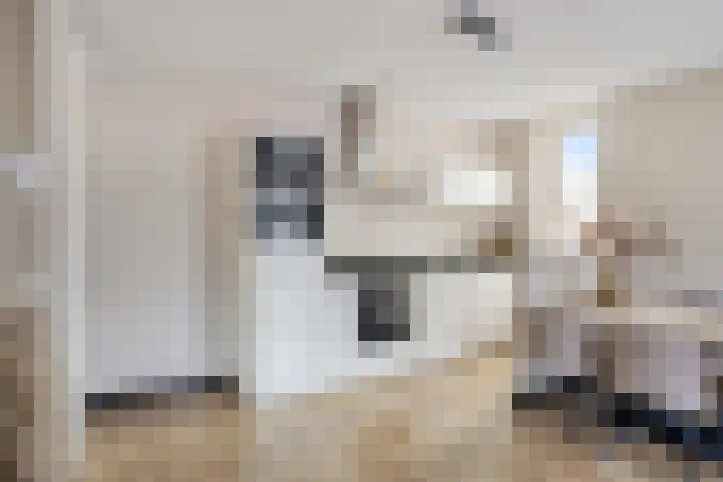 Oranjebloesem 55 Best thumbnail 17
