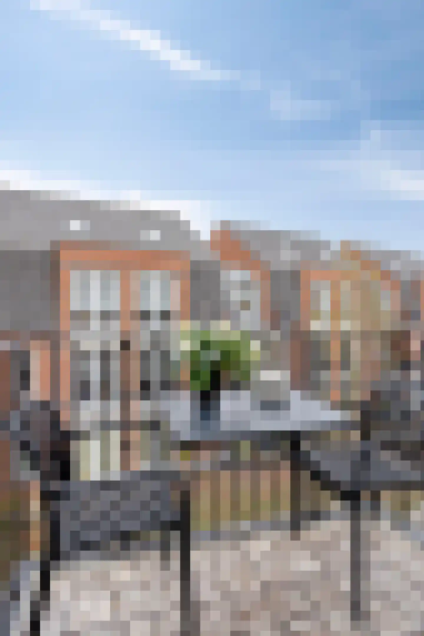 Oranjebloesem 55 Best thumbnail 23