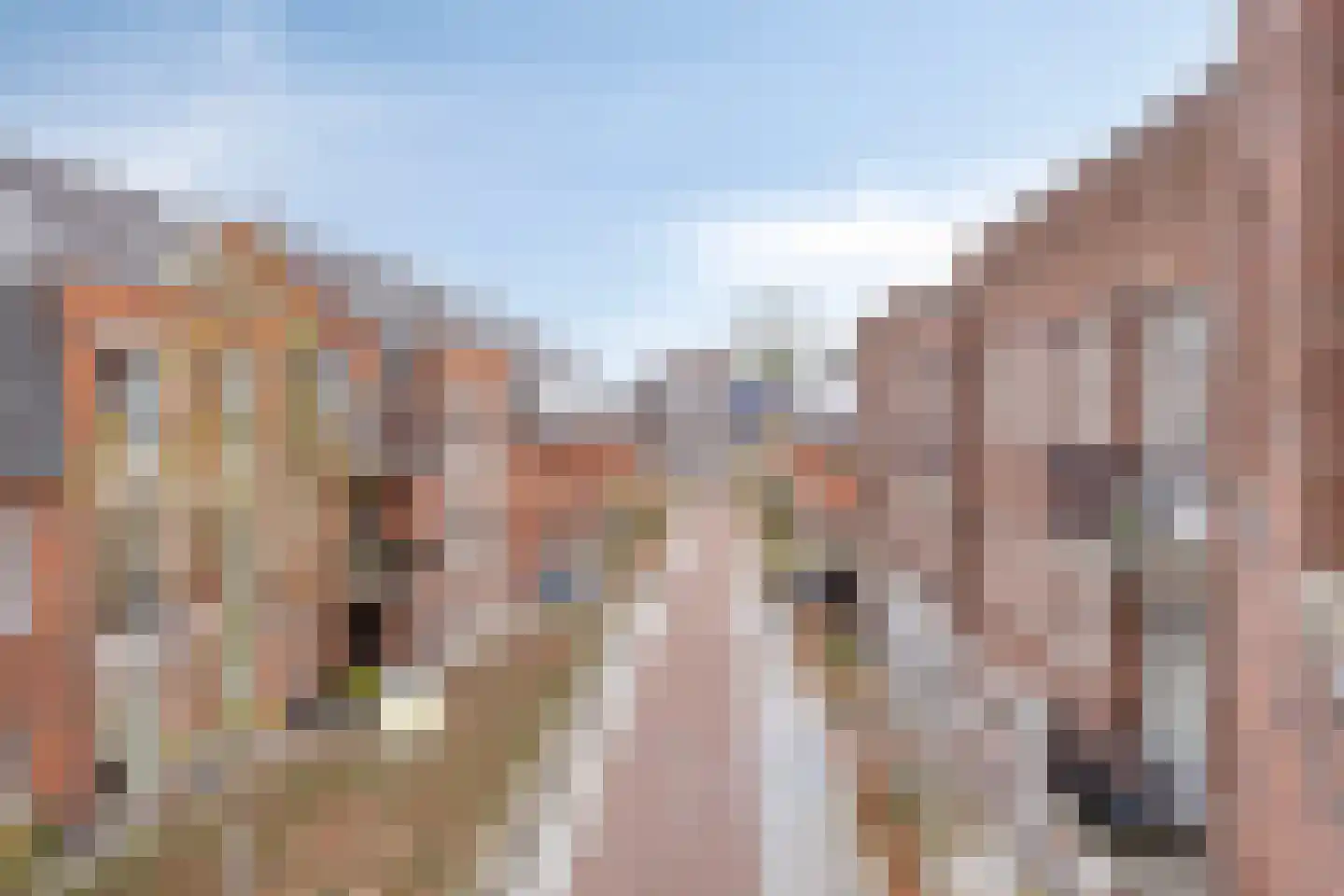 Oranjebloesem 55 Best thumbnail 24