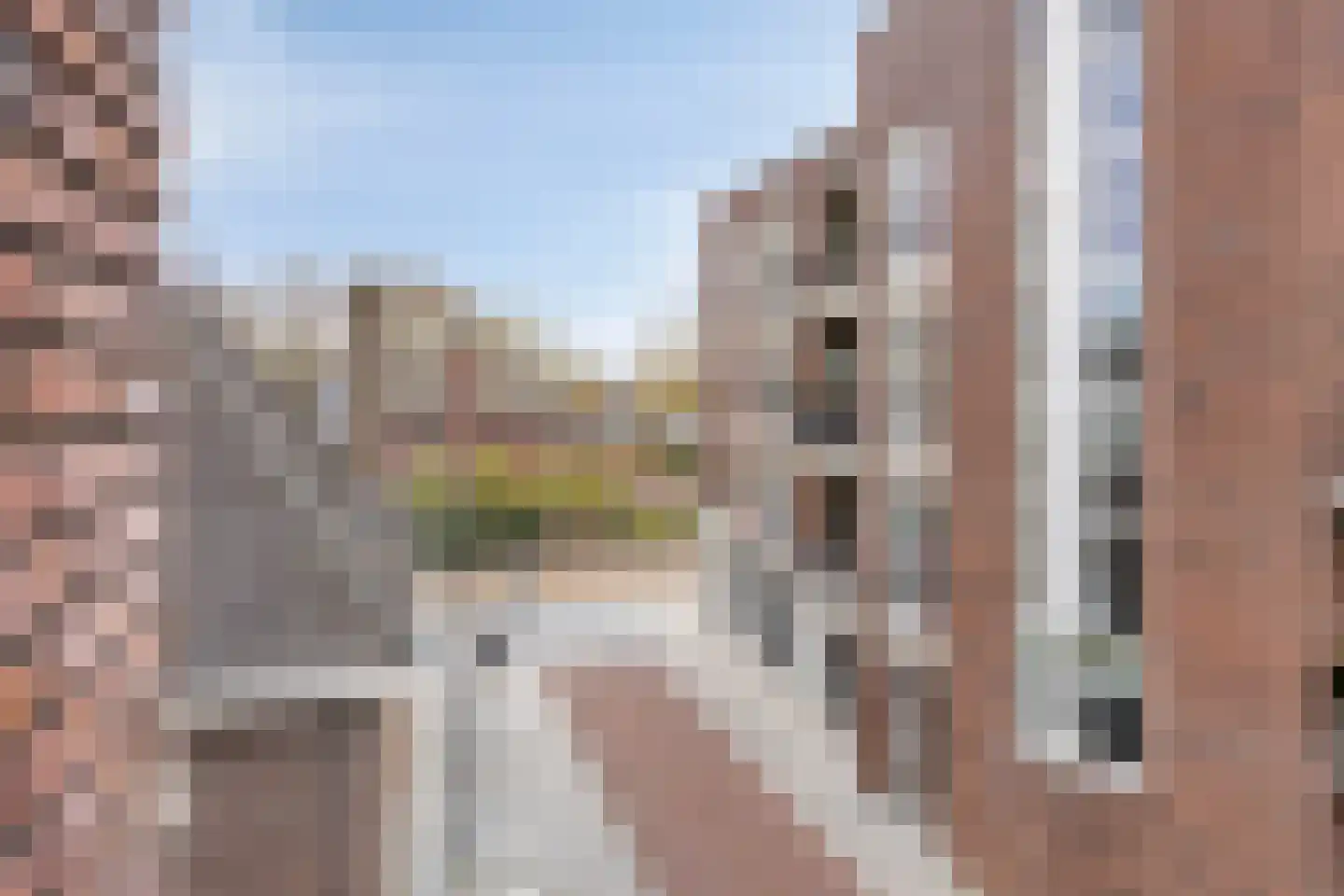 Oranjebloesem 55 Best thumbnail 25