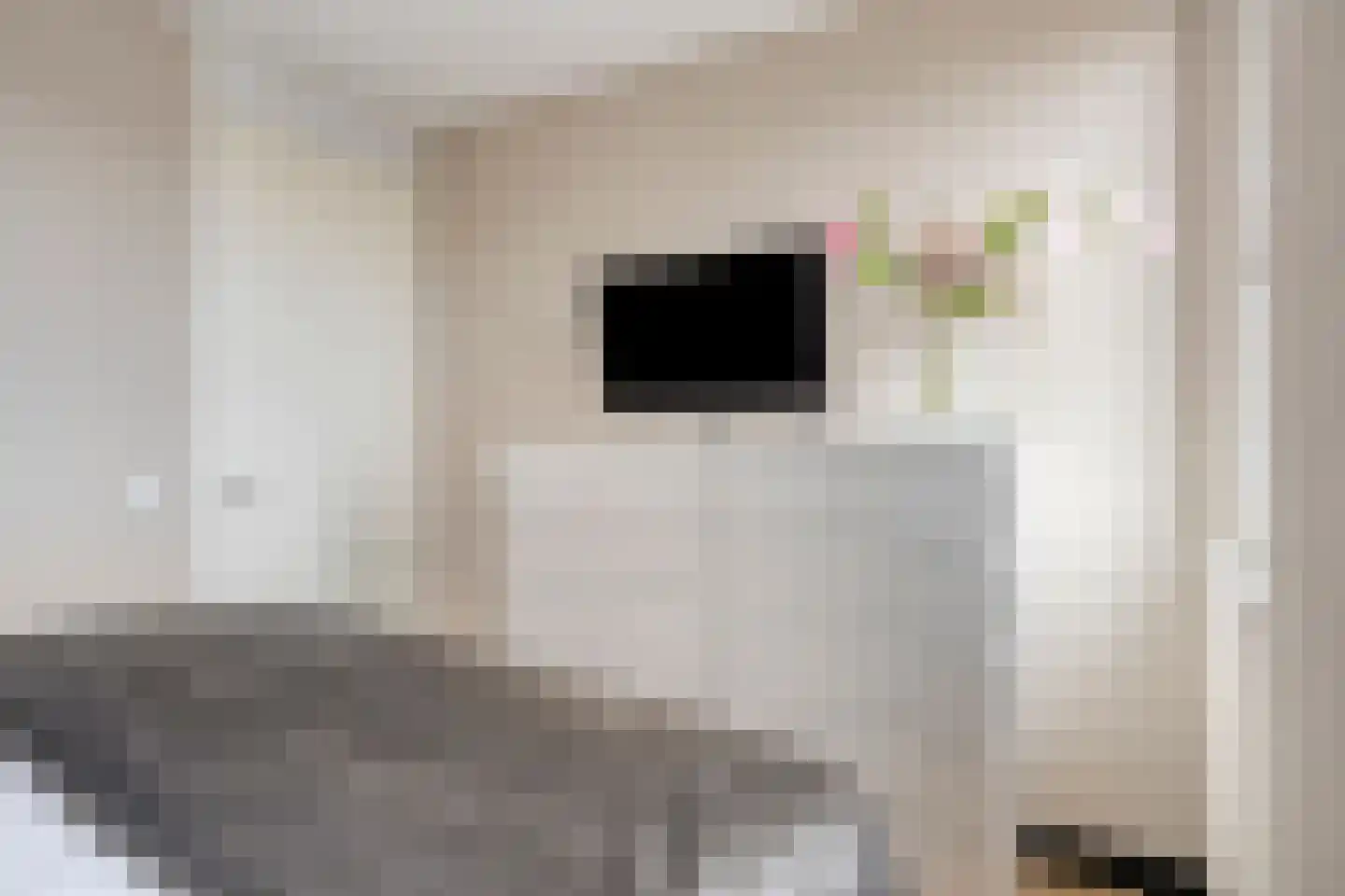 Oranjebloesem 55 Best thumbnail 29