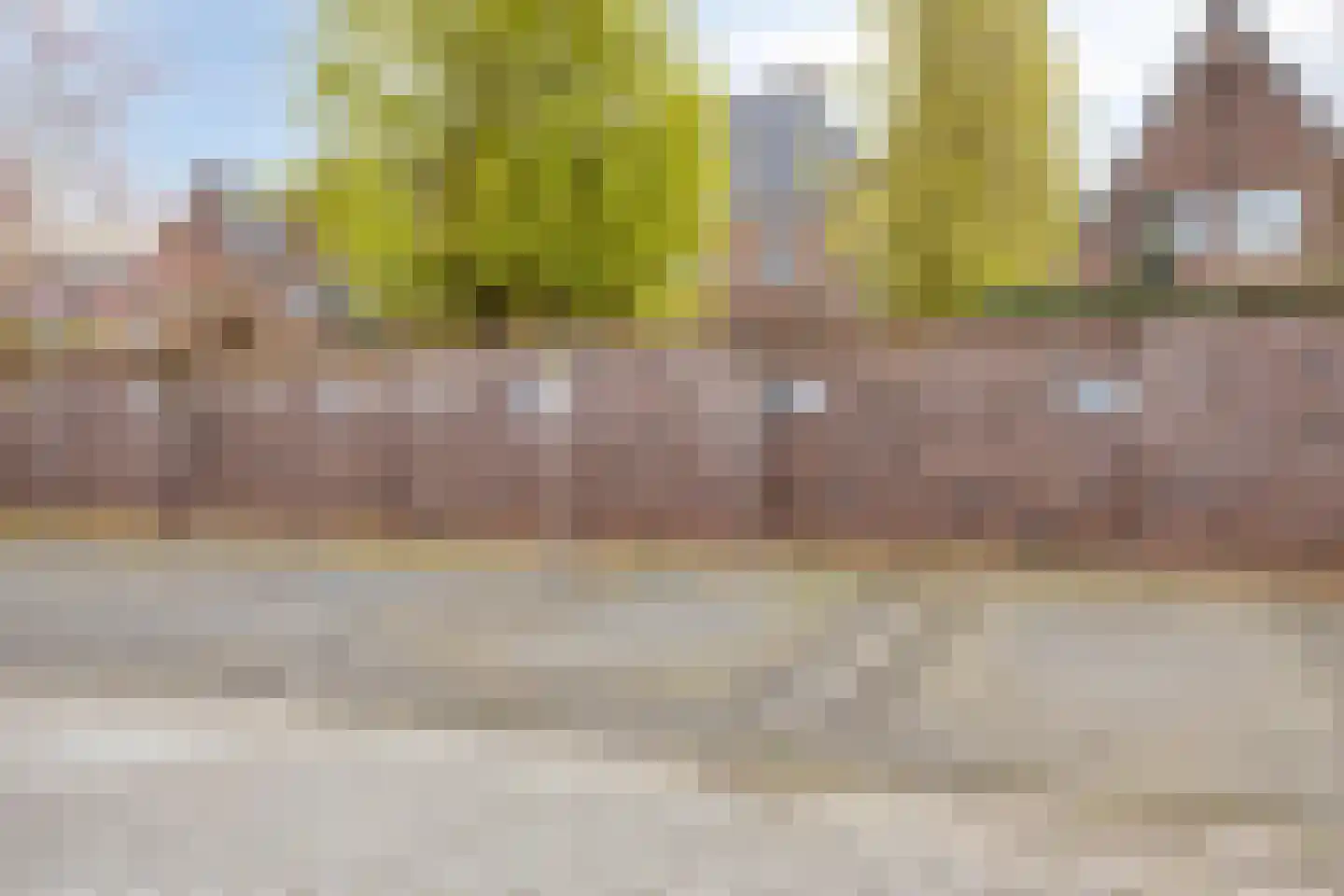 Oranjebloesem 55 Best thumbnail 35