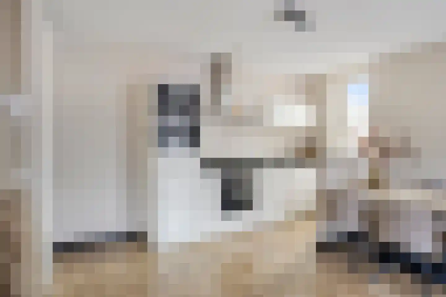 Oranjebloesem 55 Best thumbnail 4