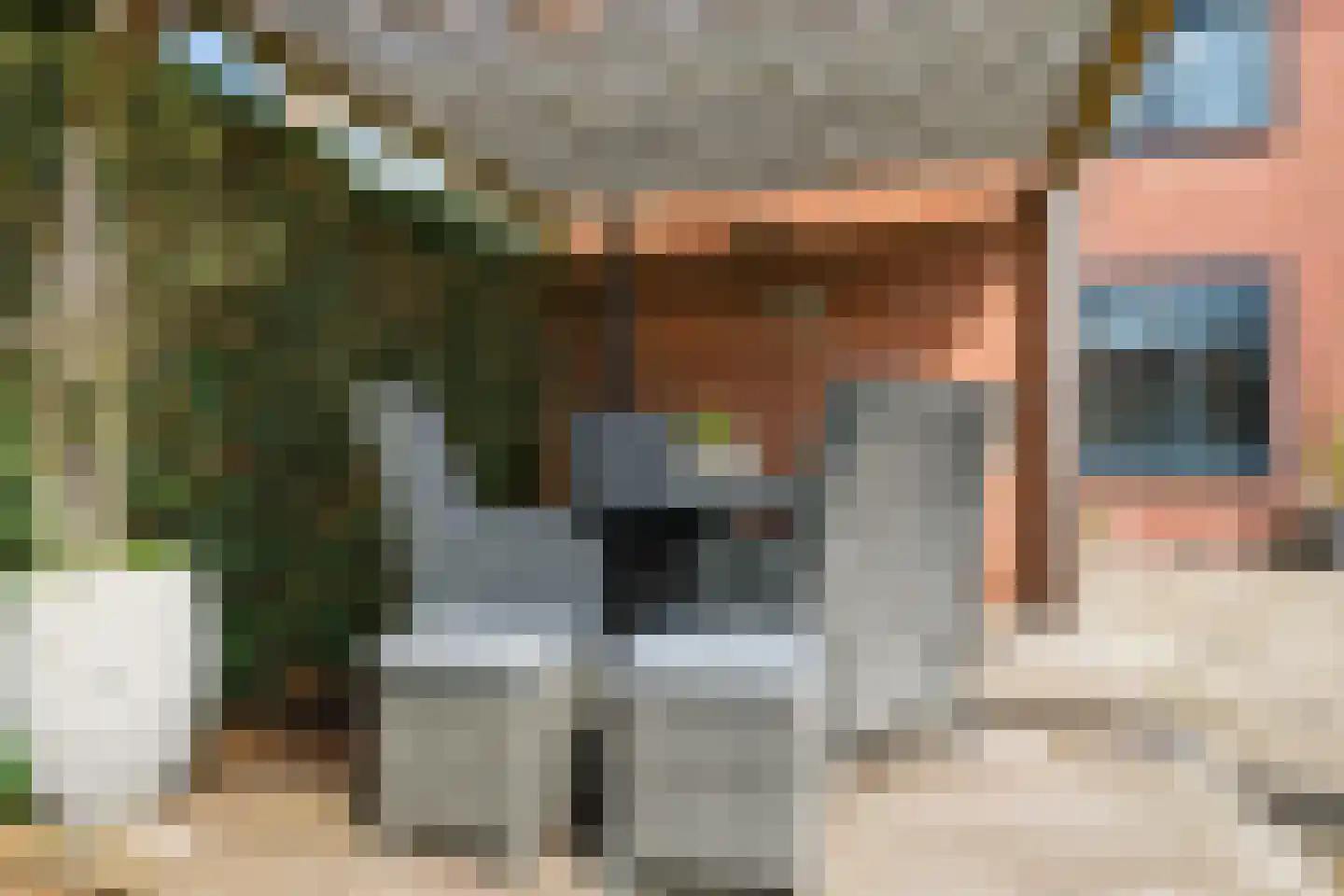 Oranjeboomkade 5 Assendelft thumbnail 14