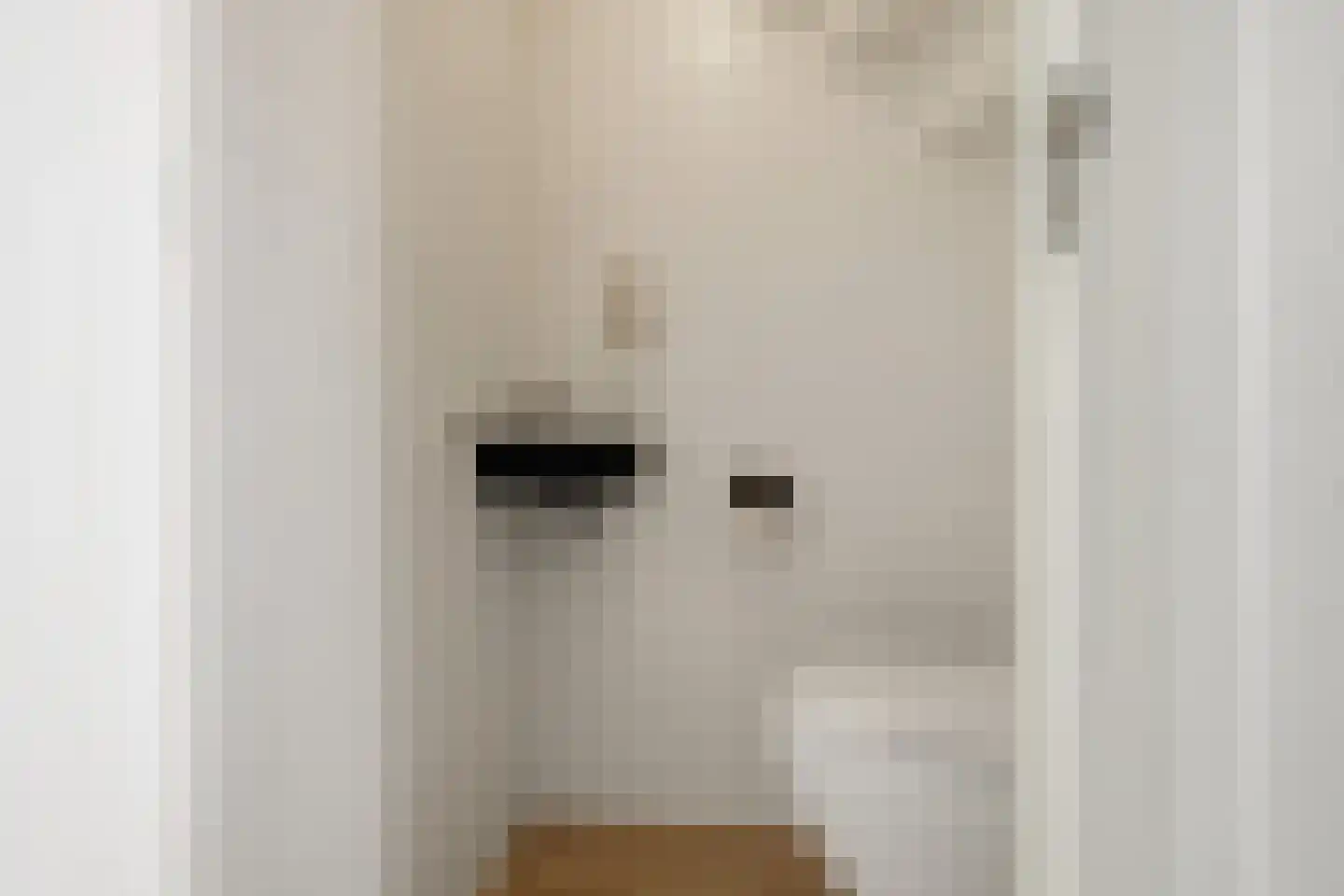 Oranjeboomkade 5 Assendelft thumbnail 17