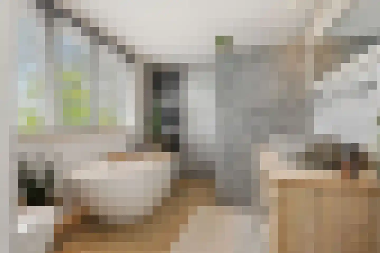 Oranjeboomkade 5 Assendelft thumbnail 23