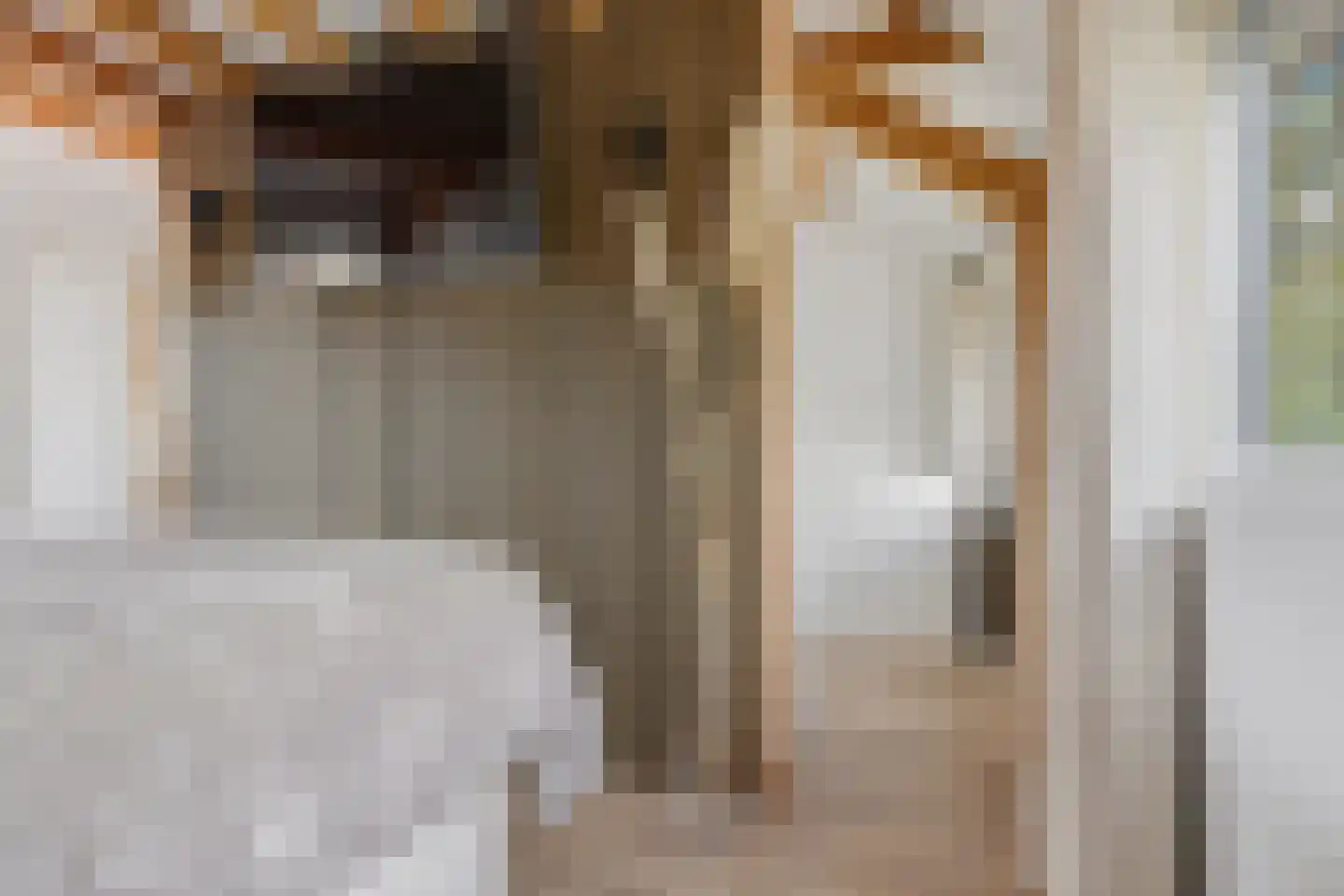 Oranjeboomkade 5 Assendelft thumbnail 30