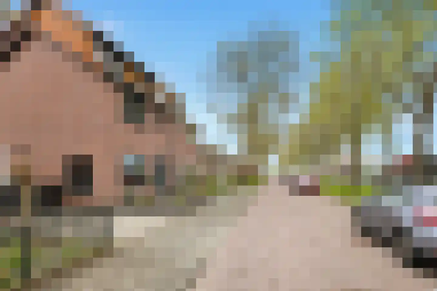 Oranjeboomkade 5 Assendelft thumbnail 32
