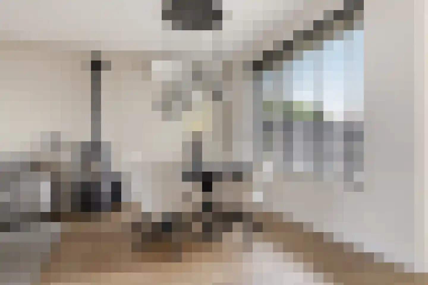 Oranjeboomkade 5 Assendelft thumbnail 4