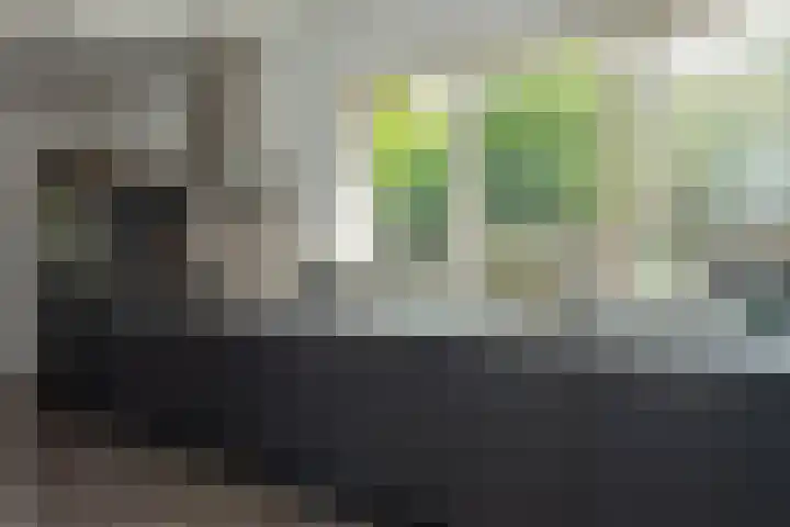 Oranjeboomlaan 17 Wezep thumbnail 14