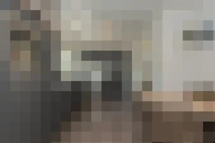 Oranjeboomlaan 17 Wezep thumbnail 16