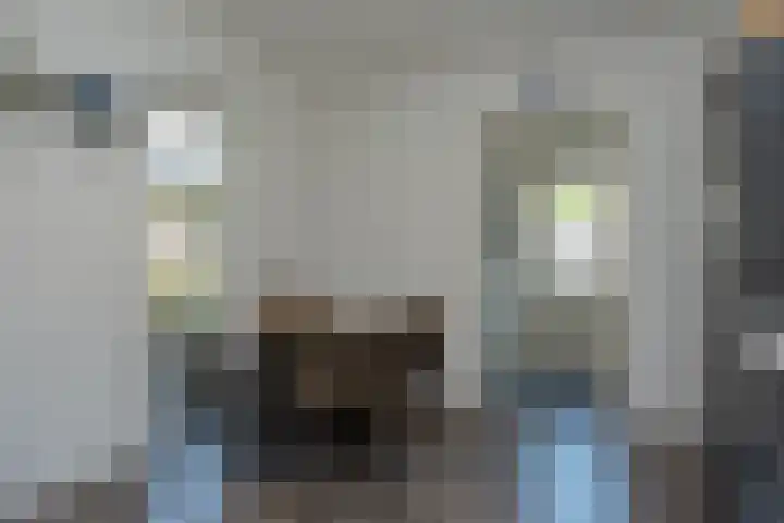 Oranjeboomlaan 17 Wezep thumbnail 17