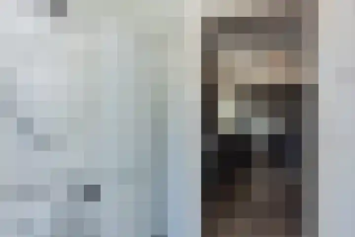 Oranjeboomlaan 17 Wezep thumbnail 19