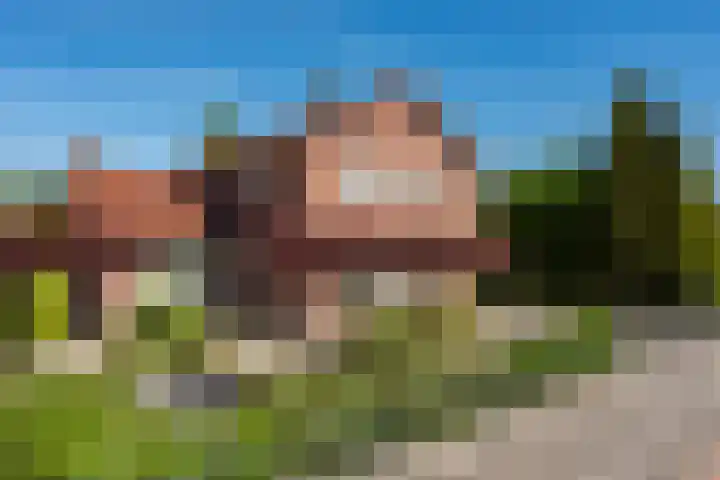 Oranjeboomlaan 17 Wezep foto 2