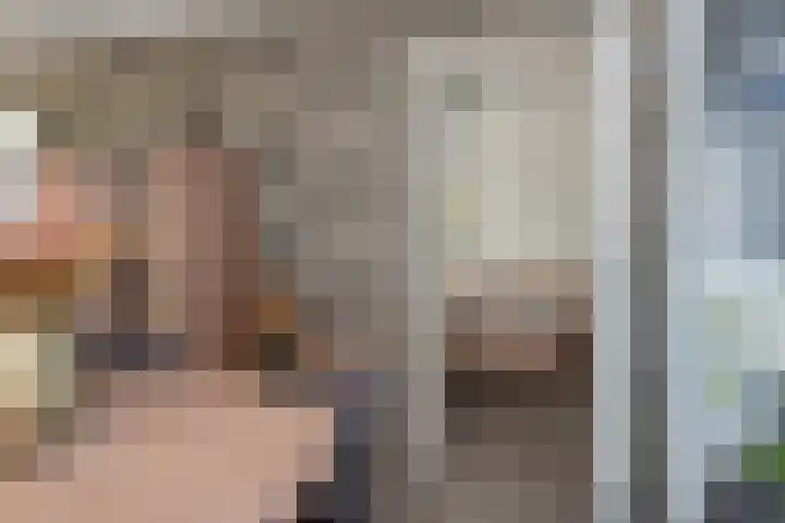 Oranjeboomlaan 17 Wezep thumbnail 21