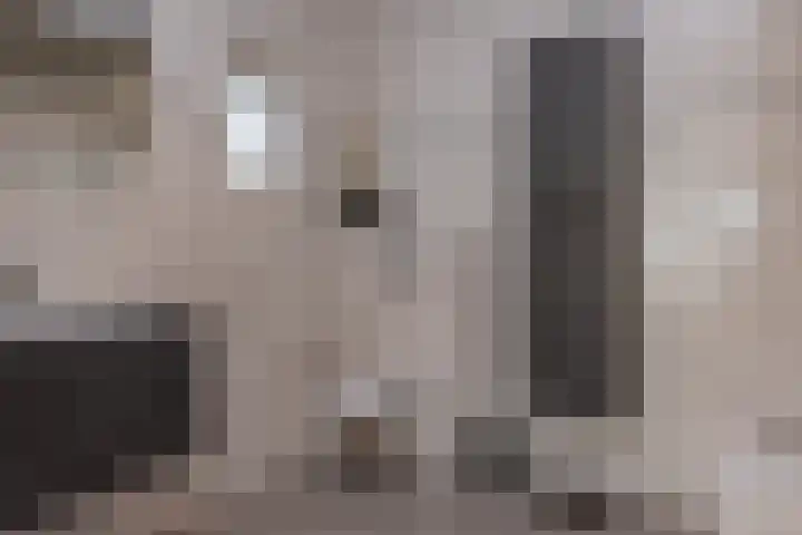 Oranjeboomlaan 17 Wezep thumbnail 26