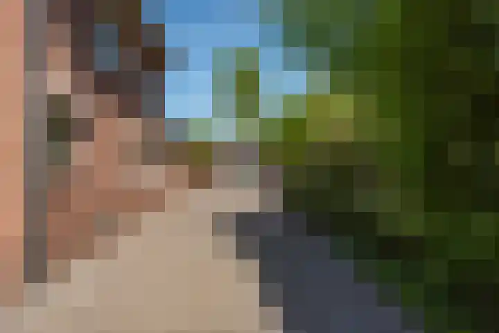 Oranjeboomlaan 17 Wezep thumbnail 43