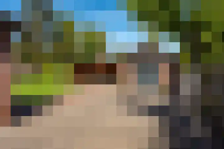 Oranjeboomlaan 17 Wezep thumbnail 44