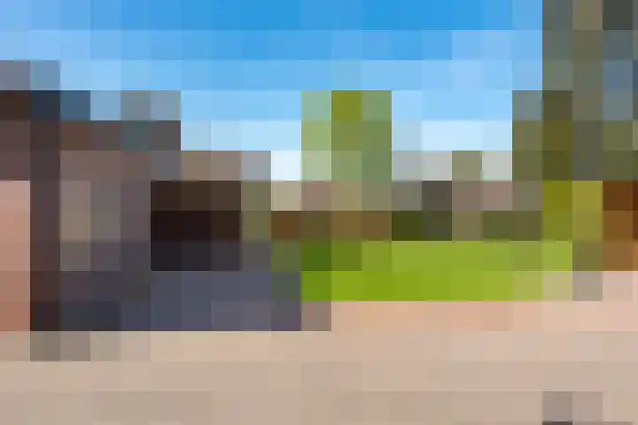 Oranjeboomlaan 17 Wezep thumbnail 45
