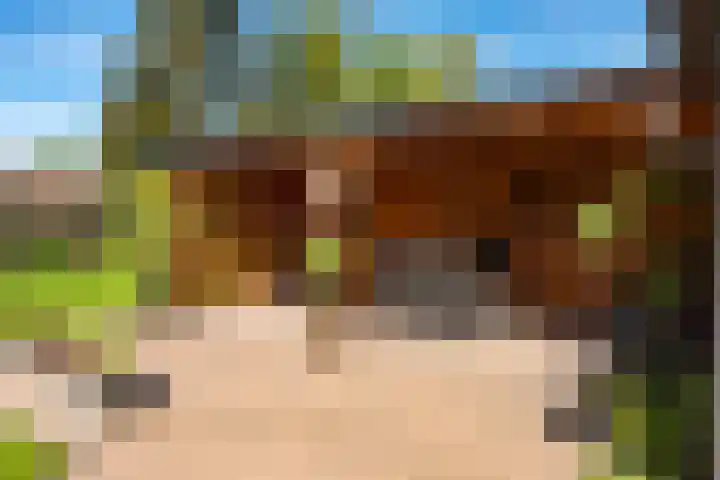Oranjeboomlaan 17 Wezep thumbnail 47