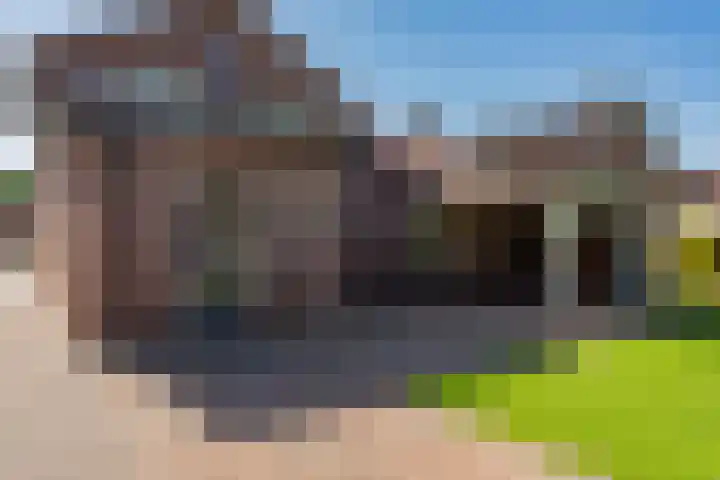 Oranjeboomlaan 17 Wezep thumbnail 48