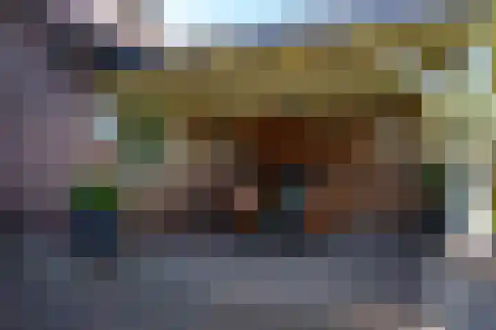 Oranjeboomlaan 17 Wezep thumbnail 50