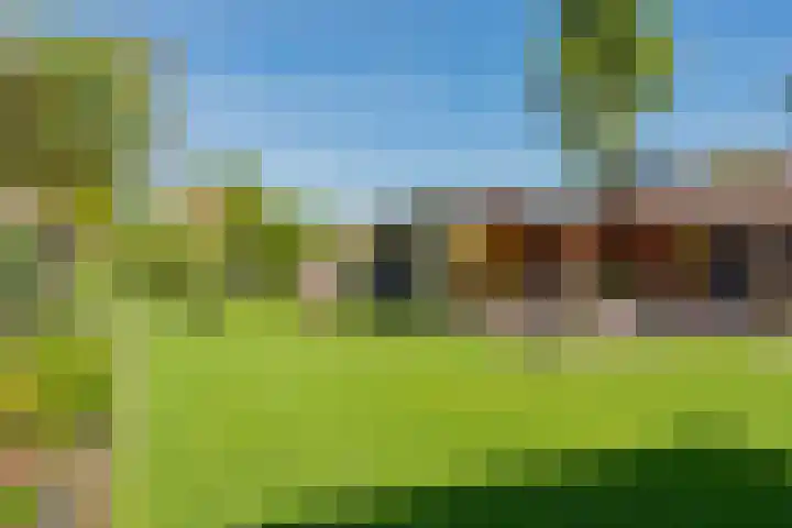 Oranjeboomlaan 17 Wezep thumbnail 51