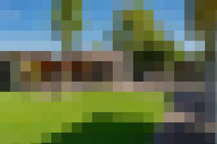Oranjeboomlaan 17 Wezep thumbnail 52