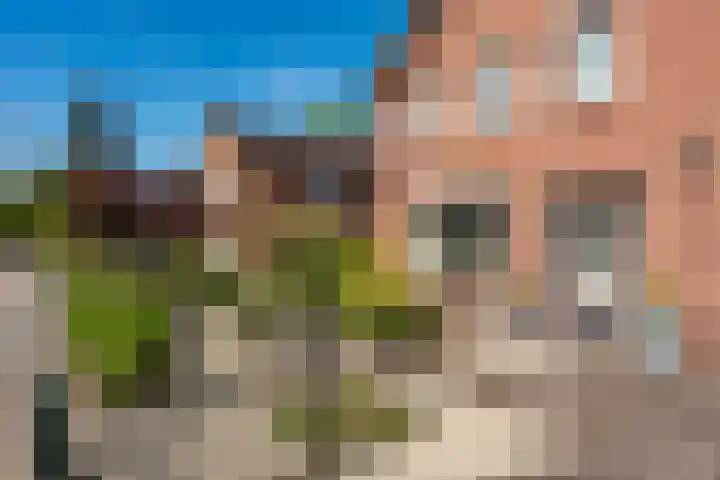 Oranjeboomlaan 17 Wezep thumbnail 53