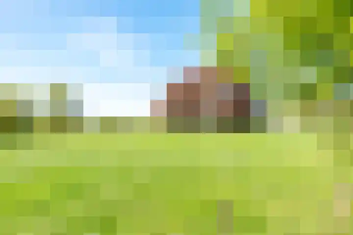 Oranjeboomlaan 17 Wezep thumbnail 55