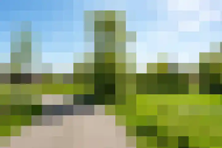 Oranjeboomlaan 17 Wezep thumbnail 57