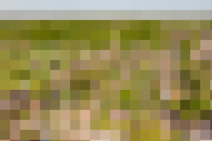 Oranjeboomlaan 17 Wezep thumbnail 58