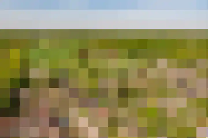 Oranjeboomlaan 17 Wezep thumbnail 59