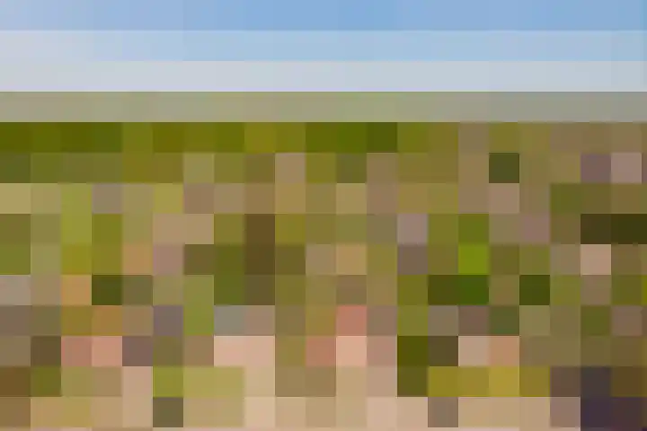 Oranjeboomlaan 17 Wezep thumbnail 60