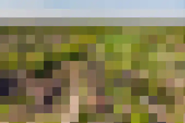 Oranjeboomlaan 17 Wezep thumbnail 61