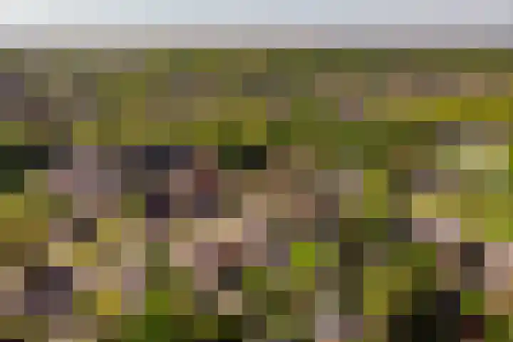 Oranjeboomlaan 17 Wezep thumbnail 62