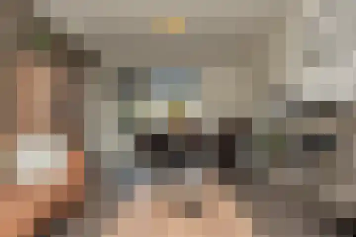 Oranjeboomlaan 17 Wezep thumbnail 8