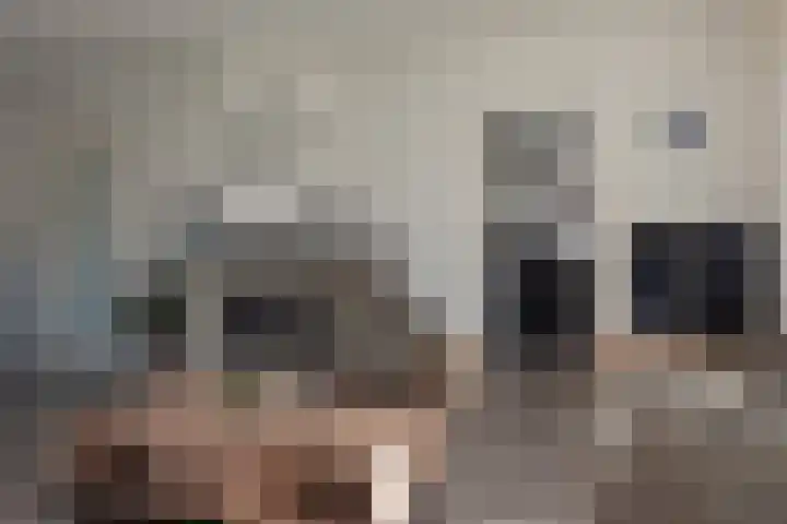 Oranjeboomlaan 17 Wezep thumbnail 9