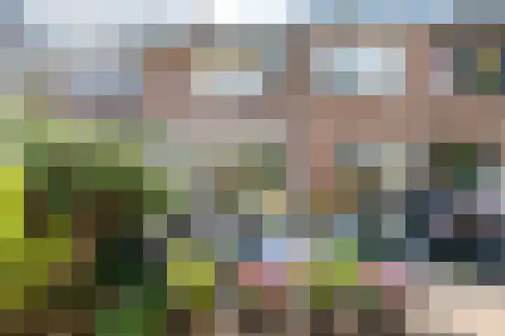 Oranjeboomstraat 11 Haarlem thumbnail 32