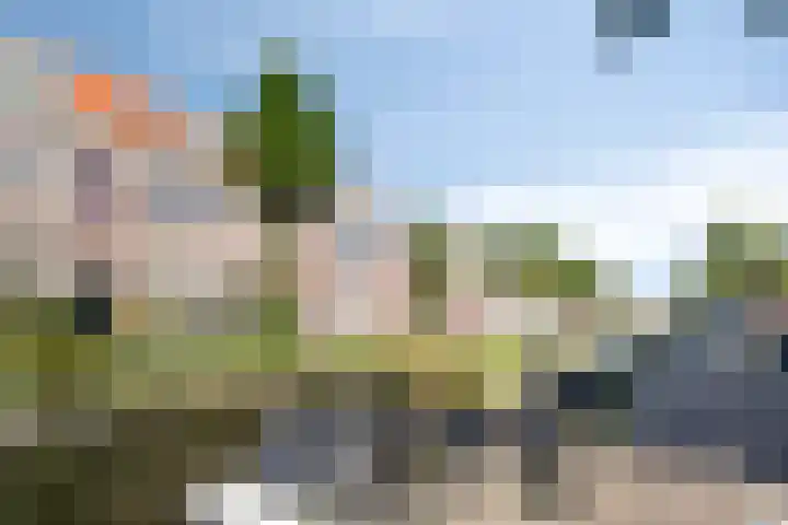 Oranjeboomstraat 11 Haarlem thumbnail 34