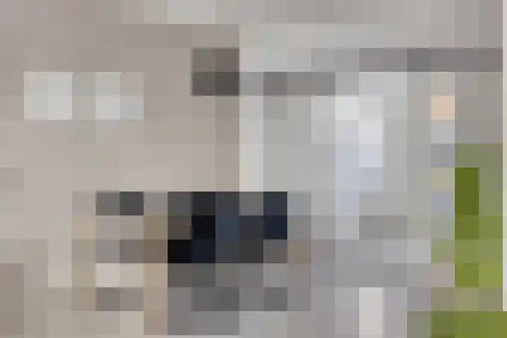 Oranjeboomstraat 14 Wemeldinge thumbnail 16