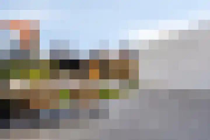 Oranjeboomstraat 14 Wemeldinge thumbnail 27