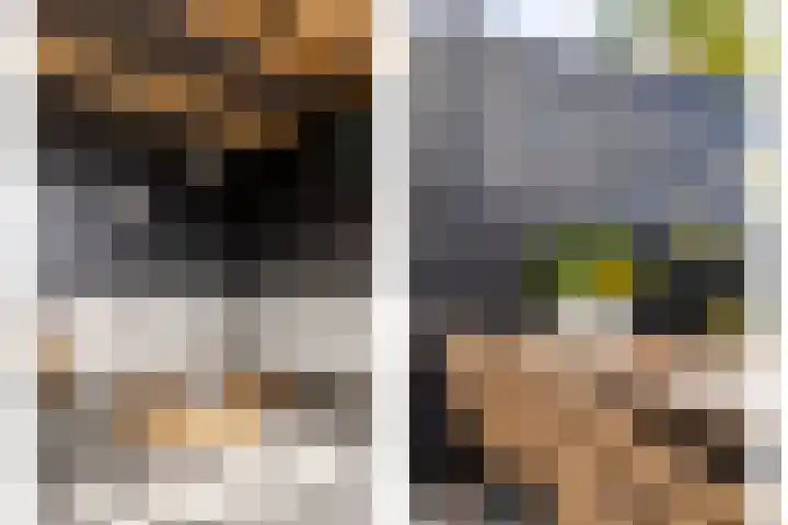Oranjeboomstraat 14 Wemeldinge thumbnail 31