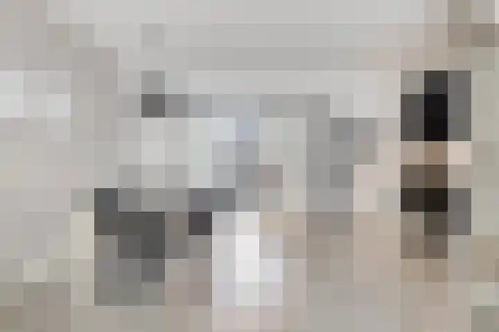 Oranjeboomstraat 14 Wemeldinge thumbnail 8
