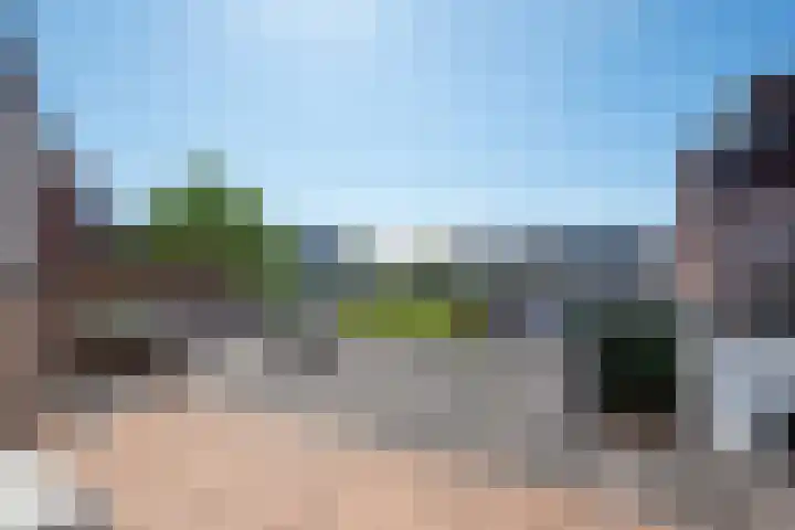 Oranjeboomstraat 144 Haarlem thumbnail 21