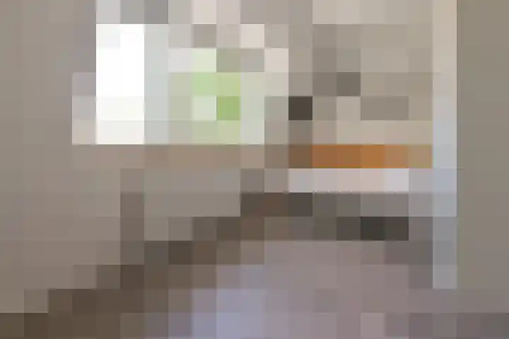 Oranjeboomstraat 15 Haarlem thumbnail 21