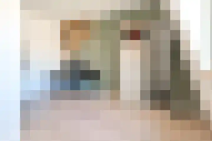 Oranjeboomstraat 15 Haarlem thumbnail 22