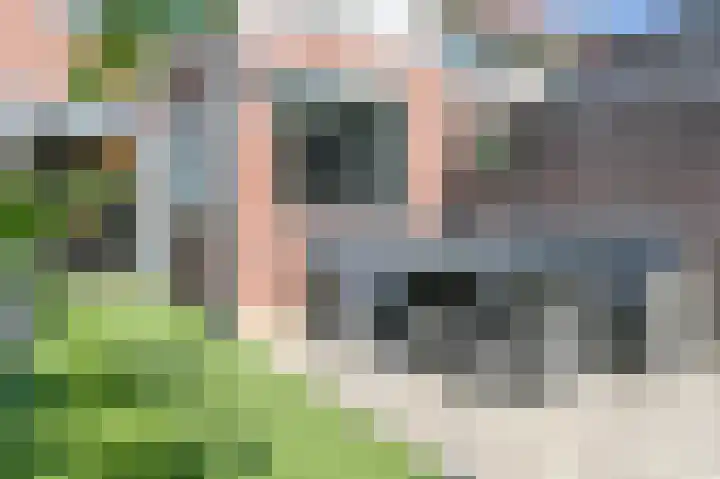 Oranjeboomstraat 15 Haarlem thumbnail 31
