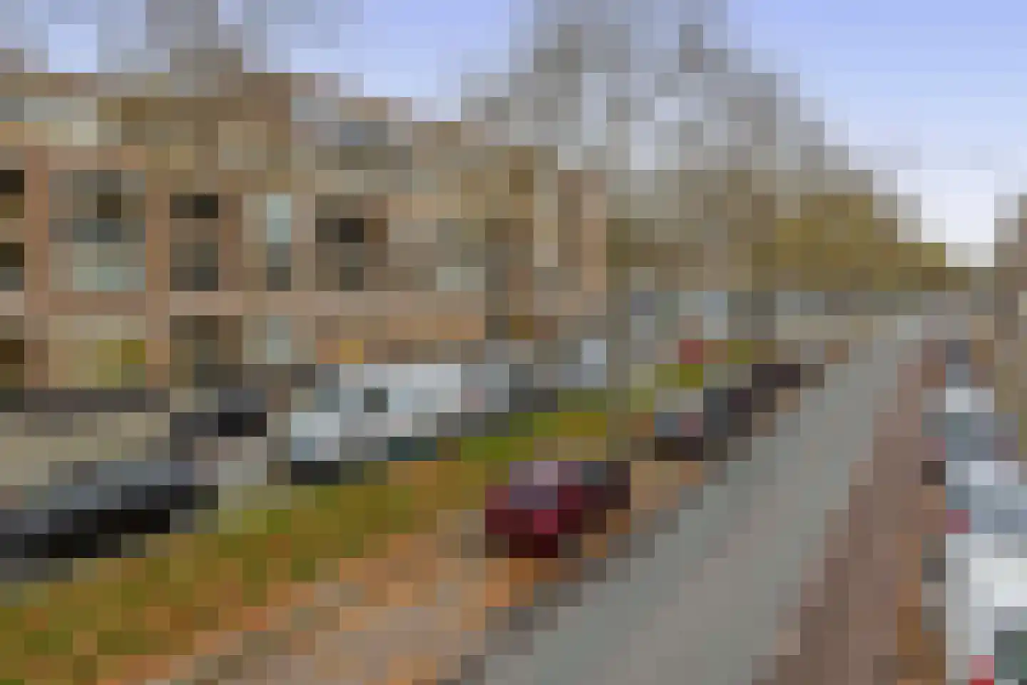 Oranjeboomstraat 234 C Rotterdam thumbnail 7